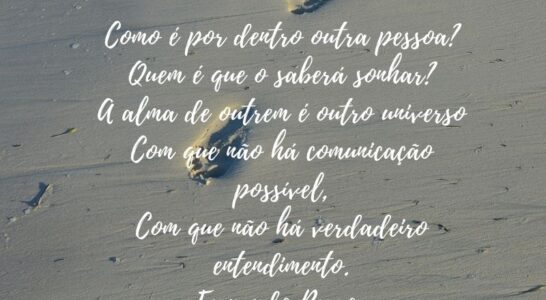 Capítulo 2