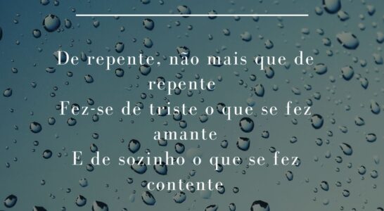 Capítulo 4