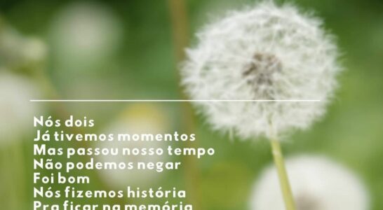 Capítulo 5