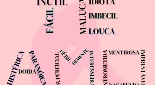 Você se expressa ou alguém fala por você?